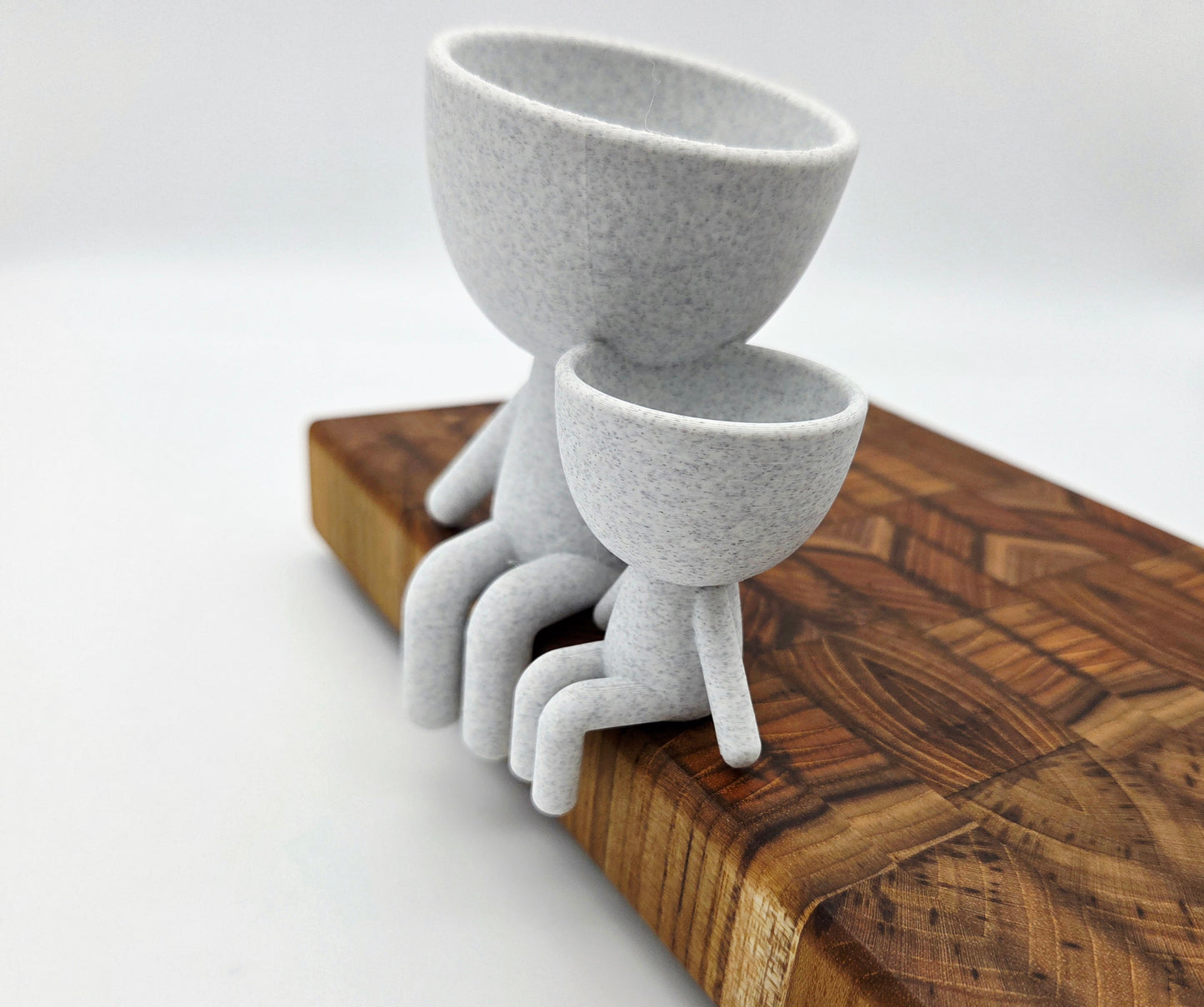 Parent and Child Succulent Planter