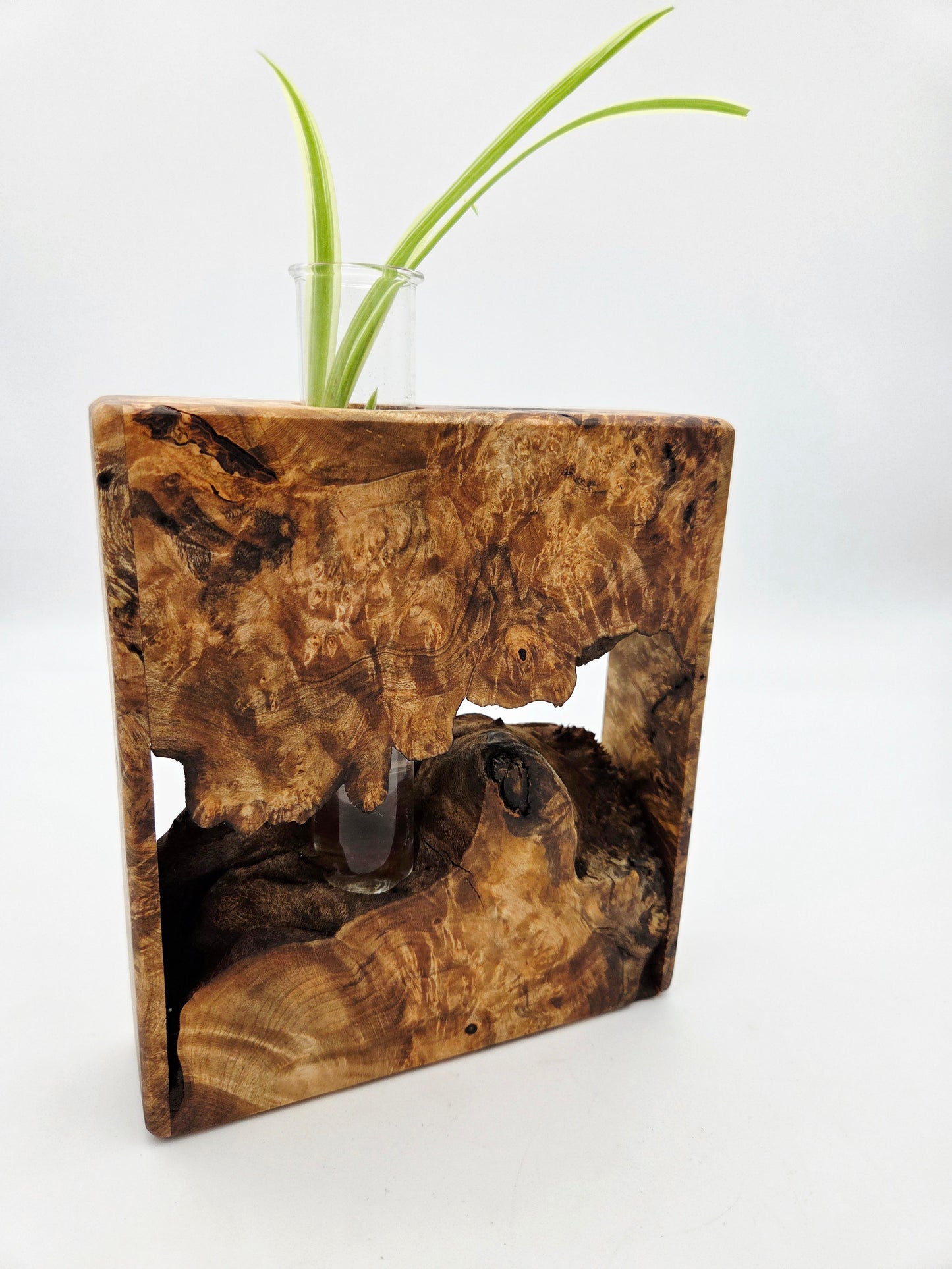 Maple Burl Bud Vase