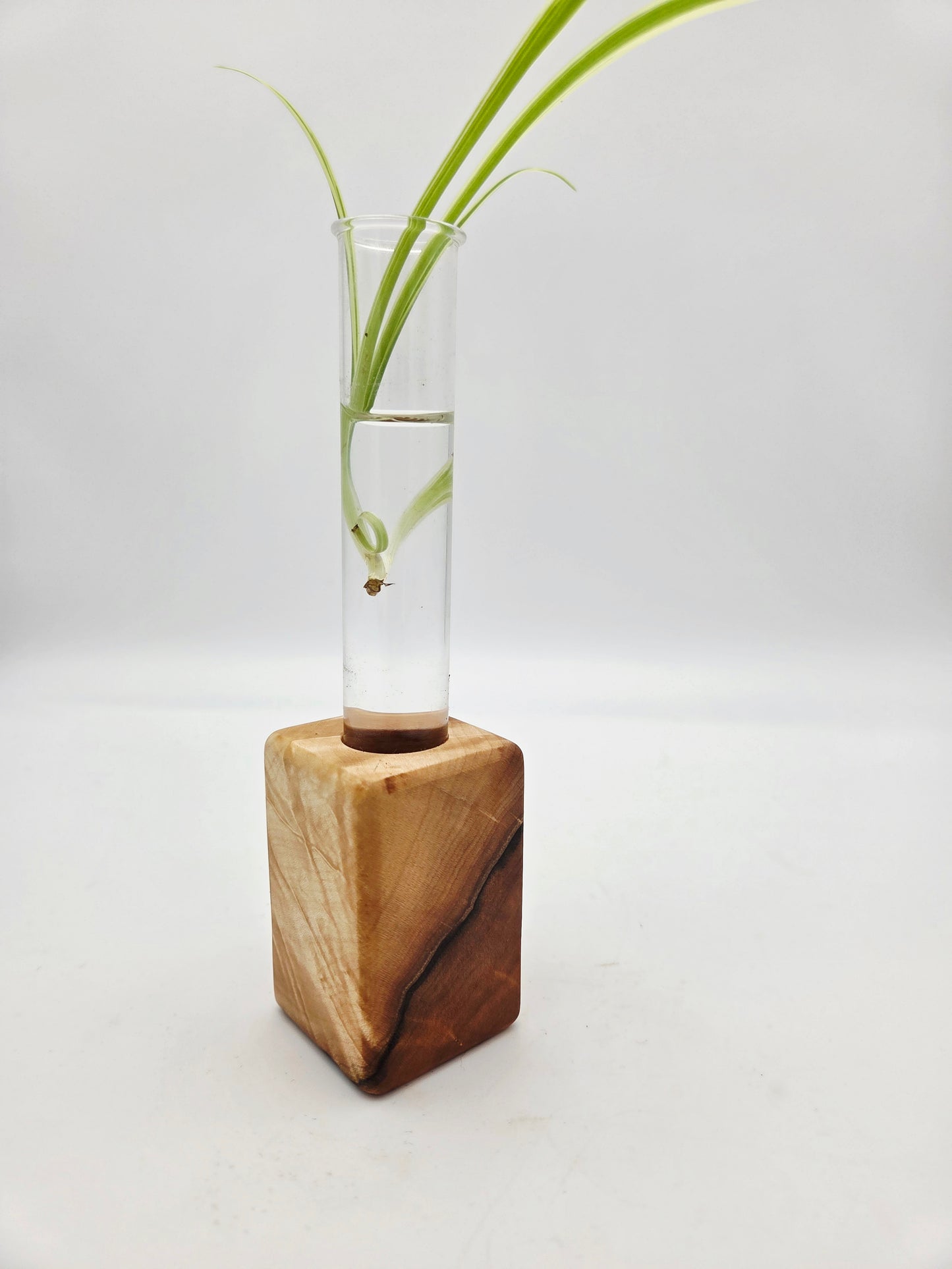 Curly Maple Bud Vase Block