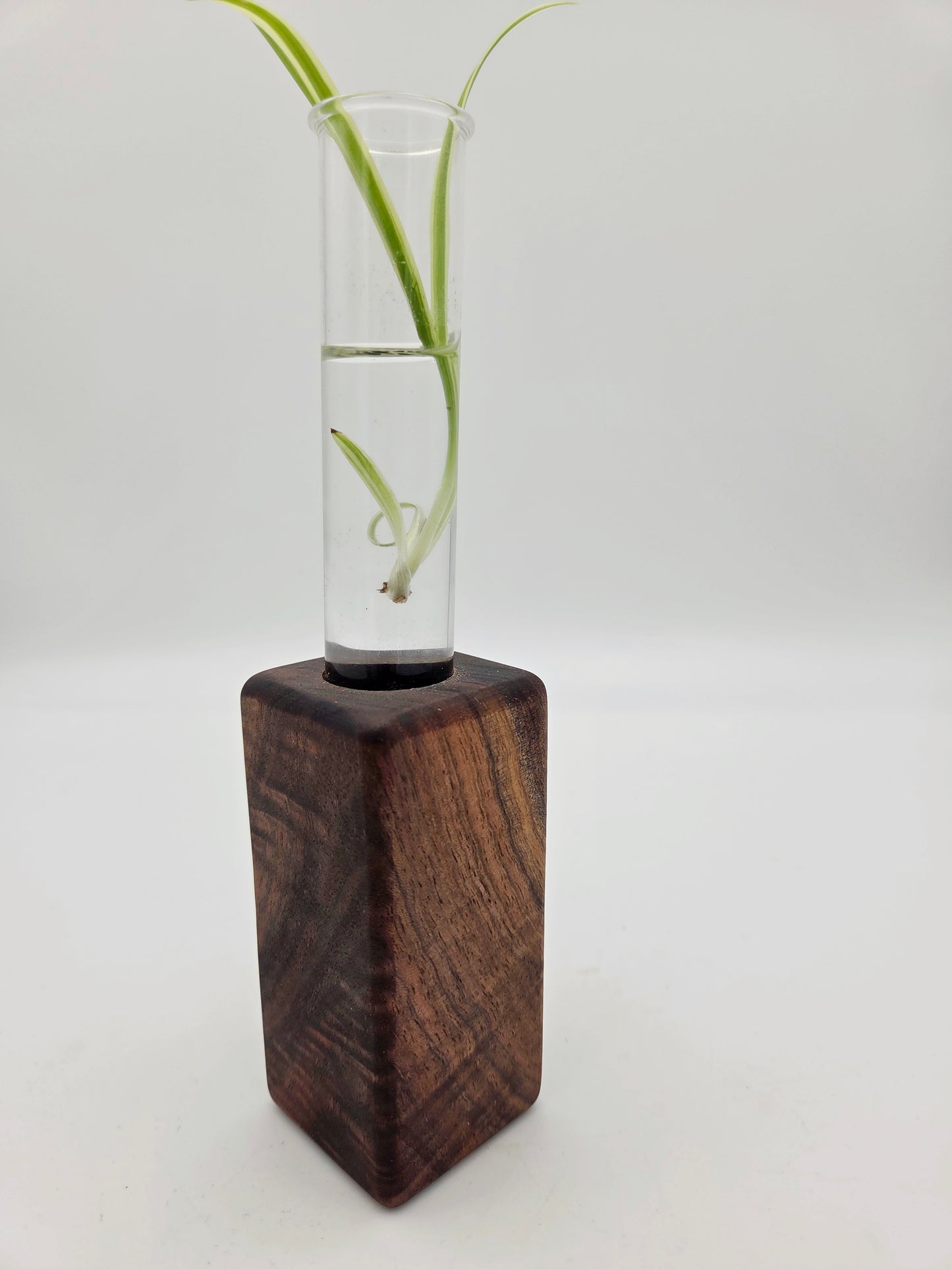 Black Walnut Bud Base Block