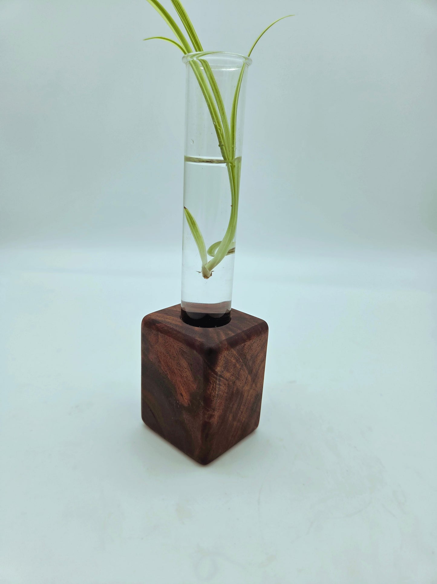Black Walnut Bud Vase Block