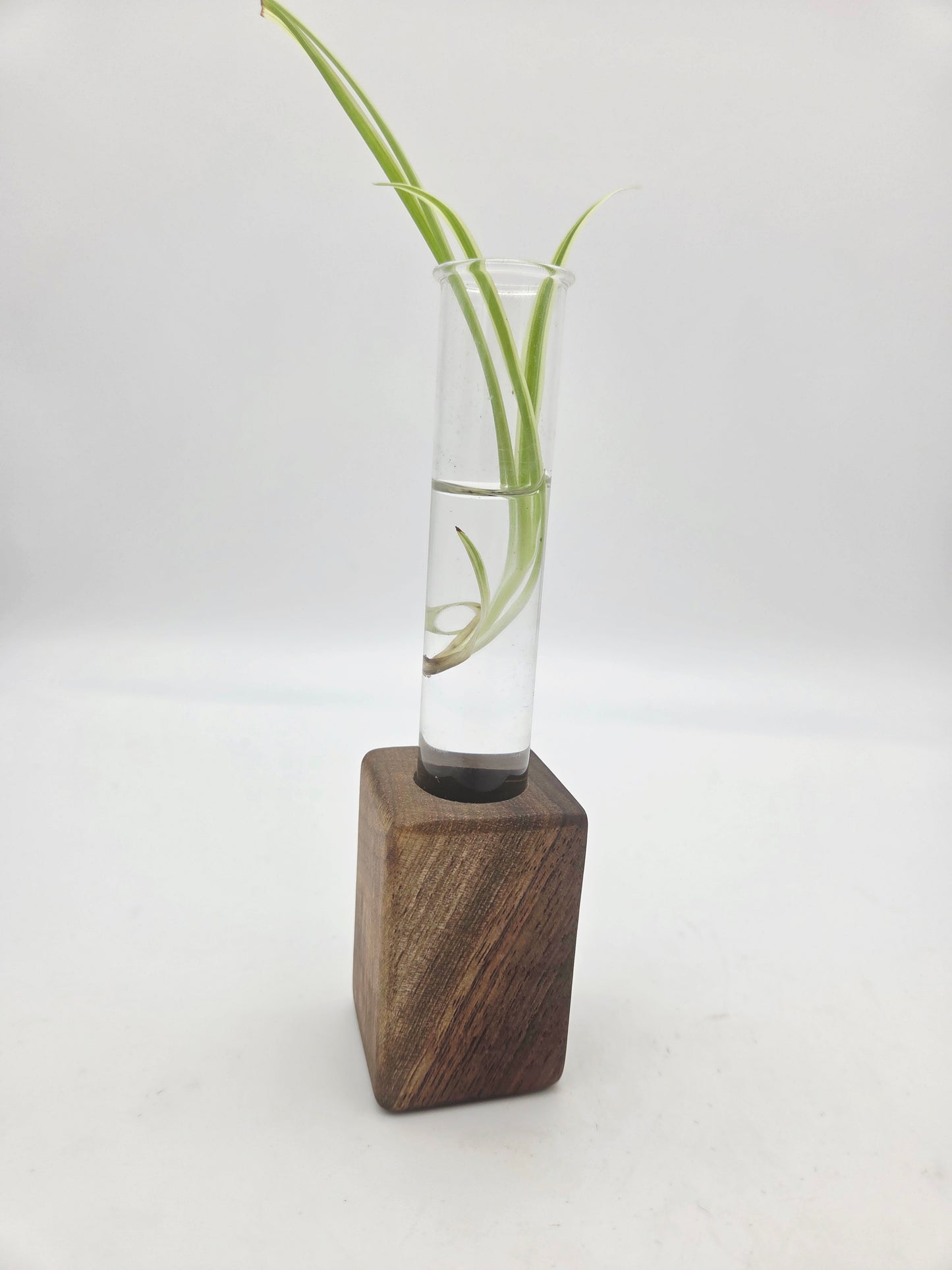 Black walnut bud vase block