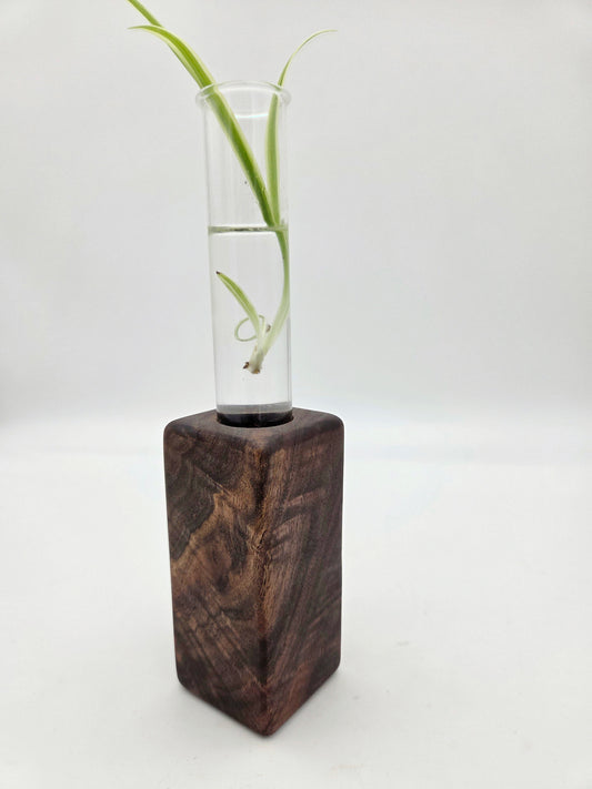 Black Walnut Bud Base Block