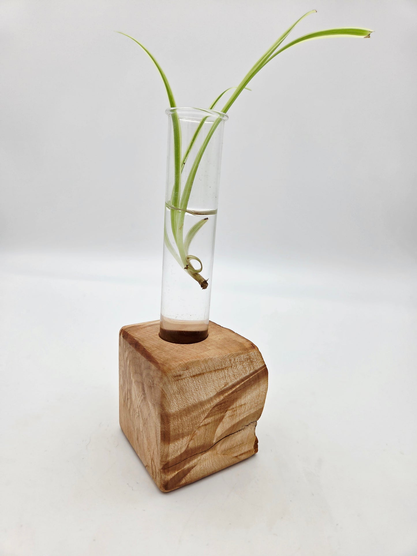 "Mullet" Curly Maple Bud Vase Block
