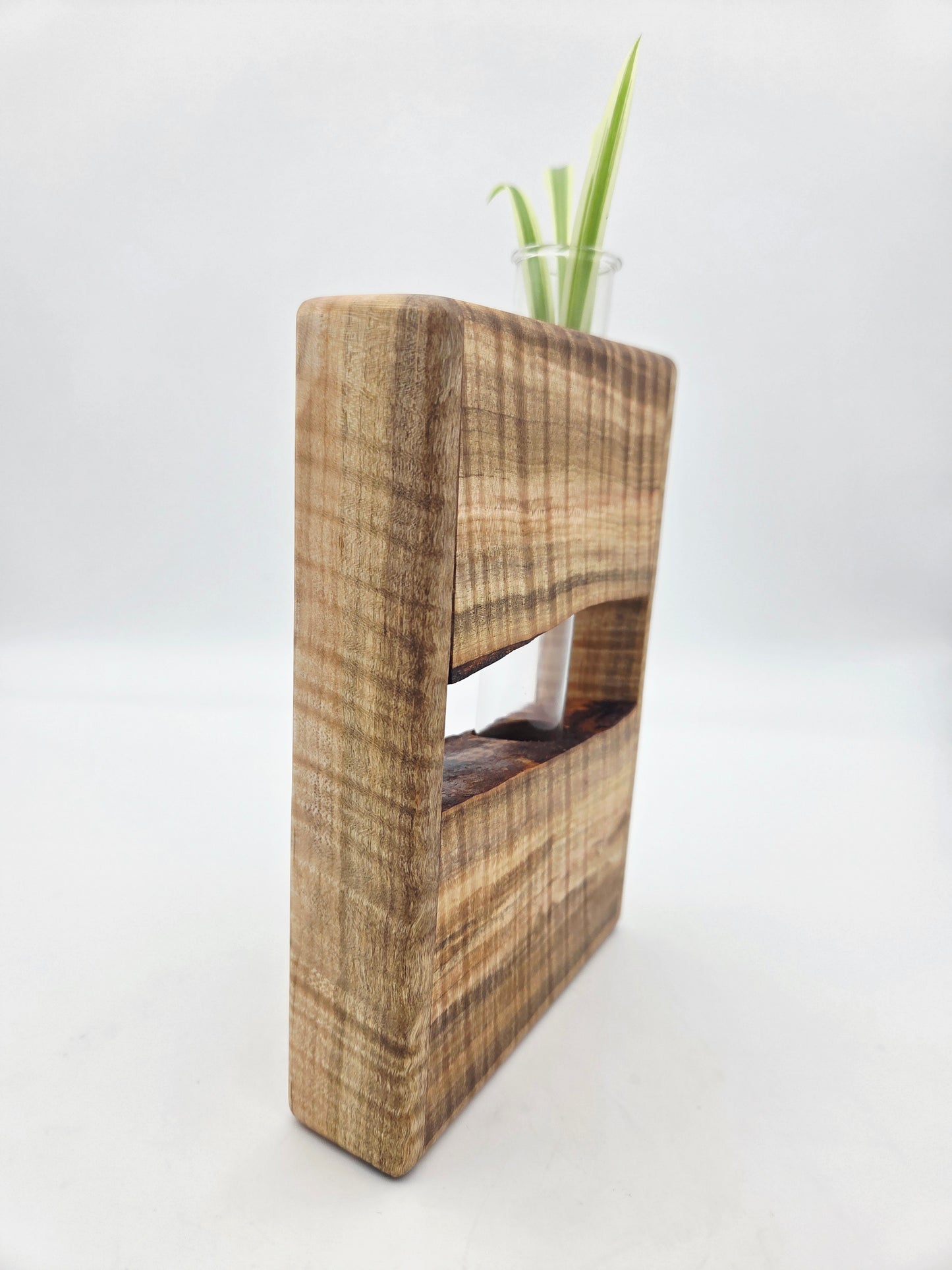 Curly Maple Bud Vase