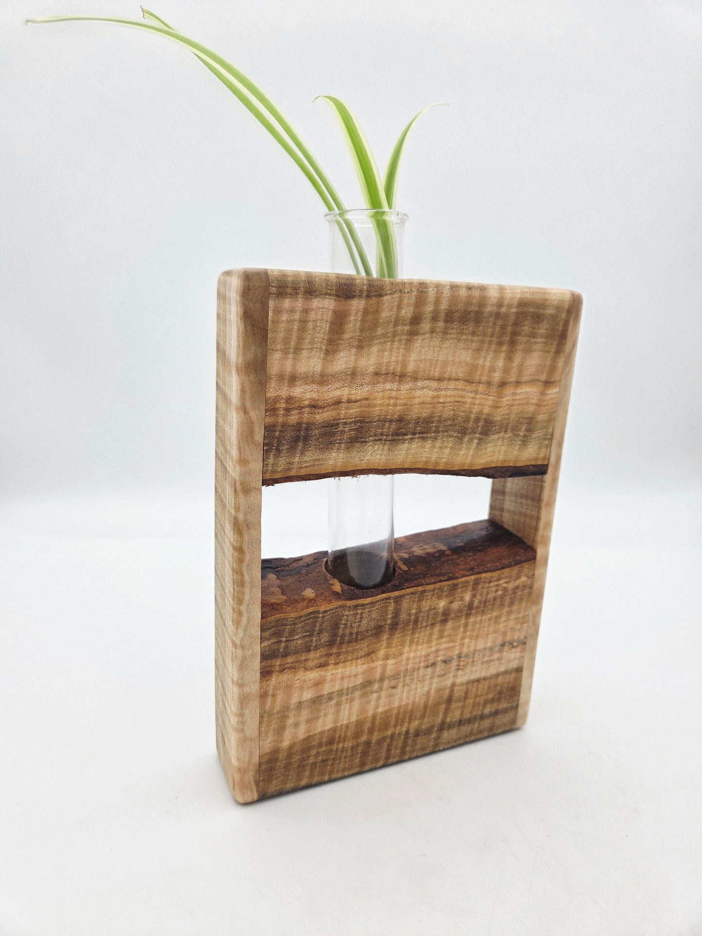 Curly Maple Bud Vase