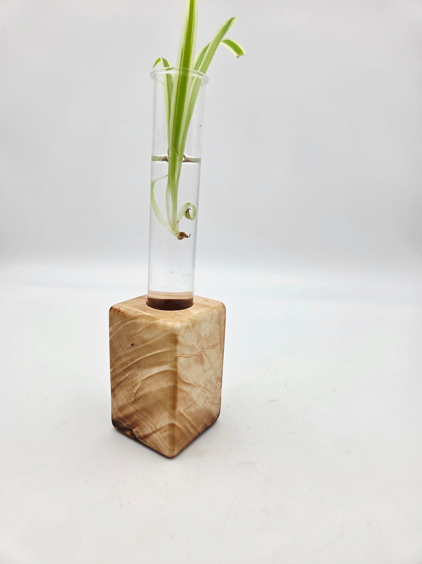 Curly Maple Bud Vase Block