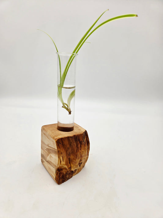 "Mullet" Curly Maple Bud Vase Block