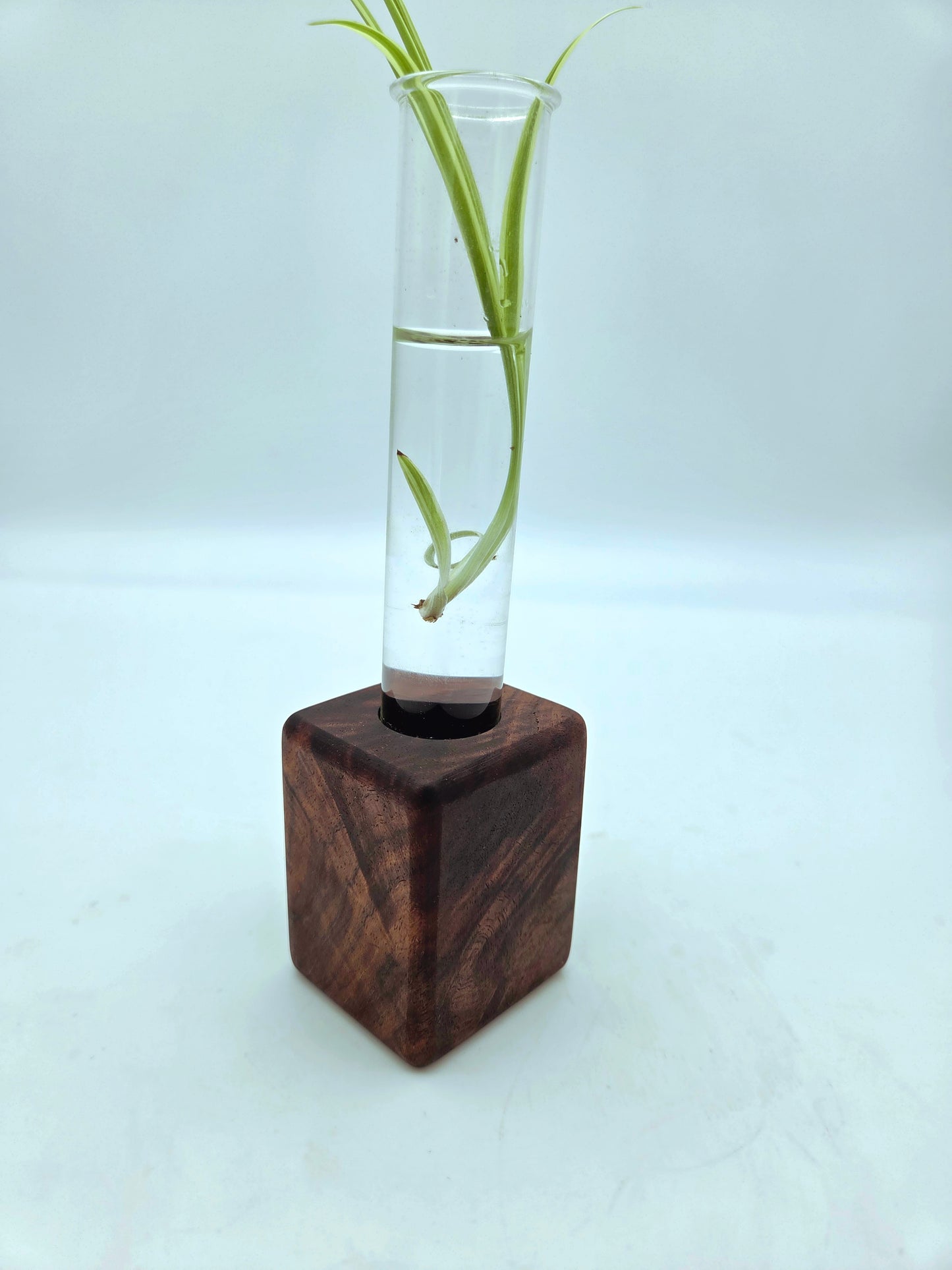 Black Walnut Bud Vase Block