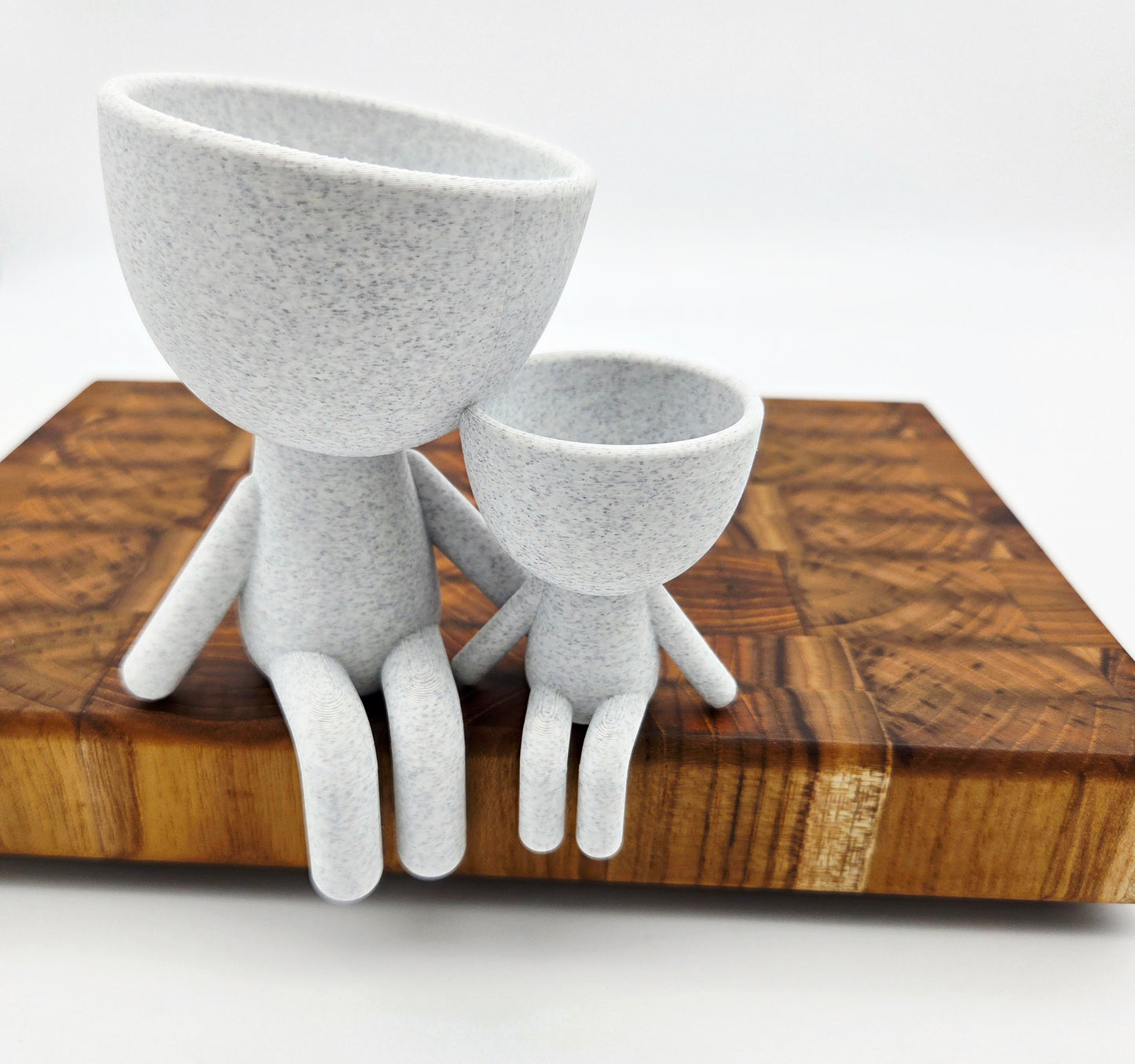 Parent and Child Succulent Planter