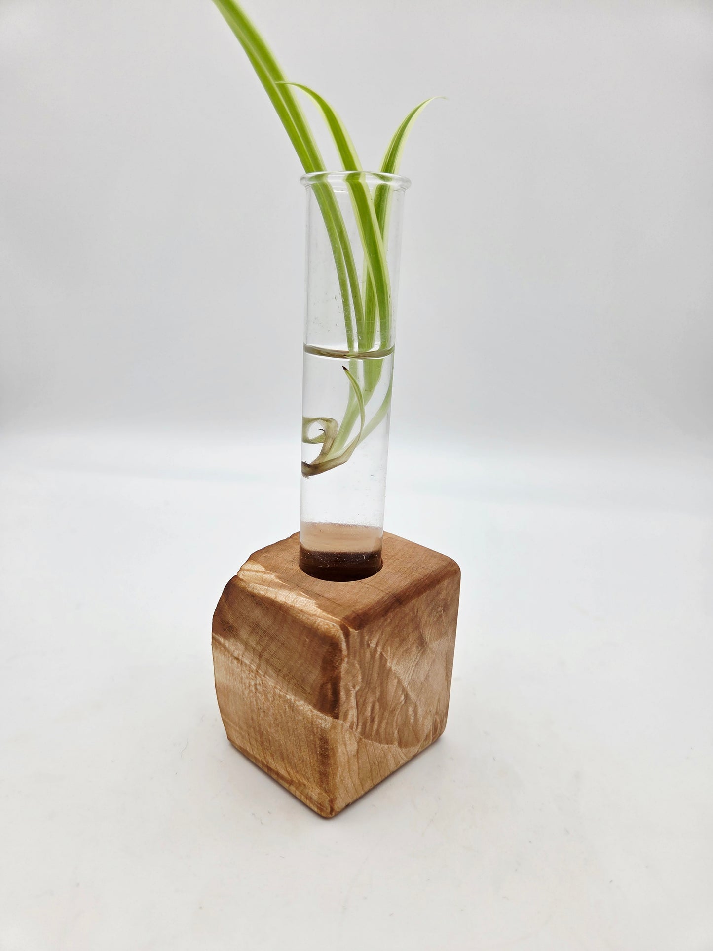 "Mullet" Curly Maple Bud Vase Block