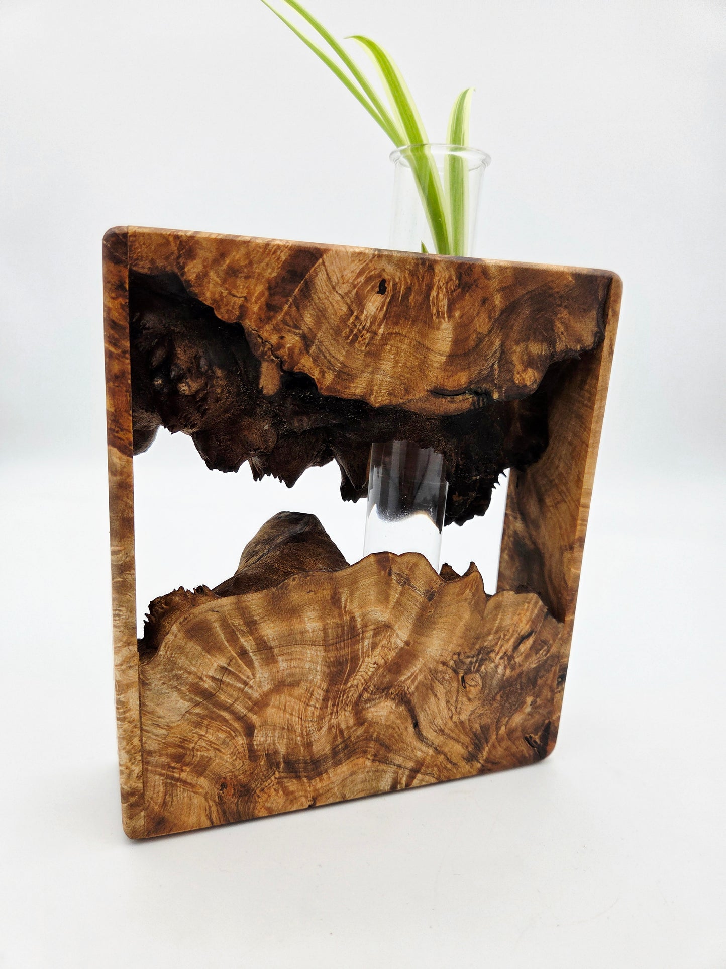 Maple Burl Bud Vase