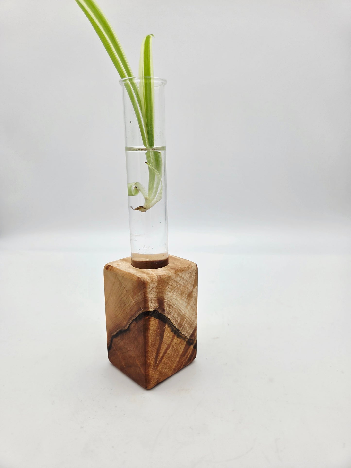 Curly Maple Bud Vase Block