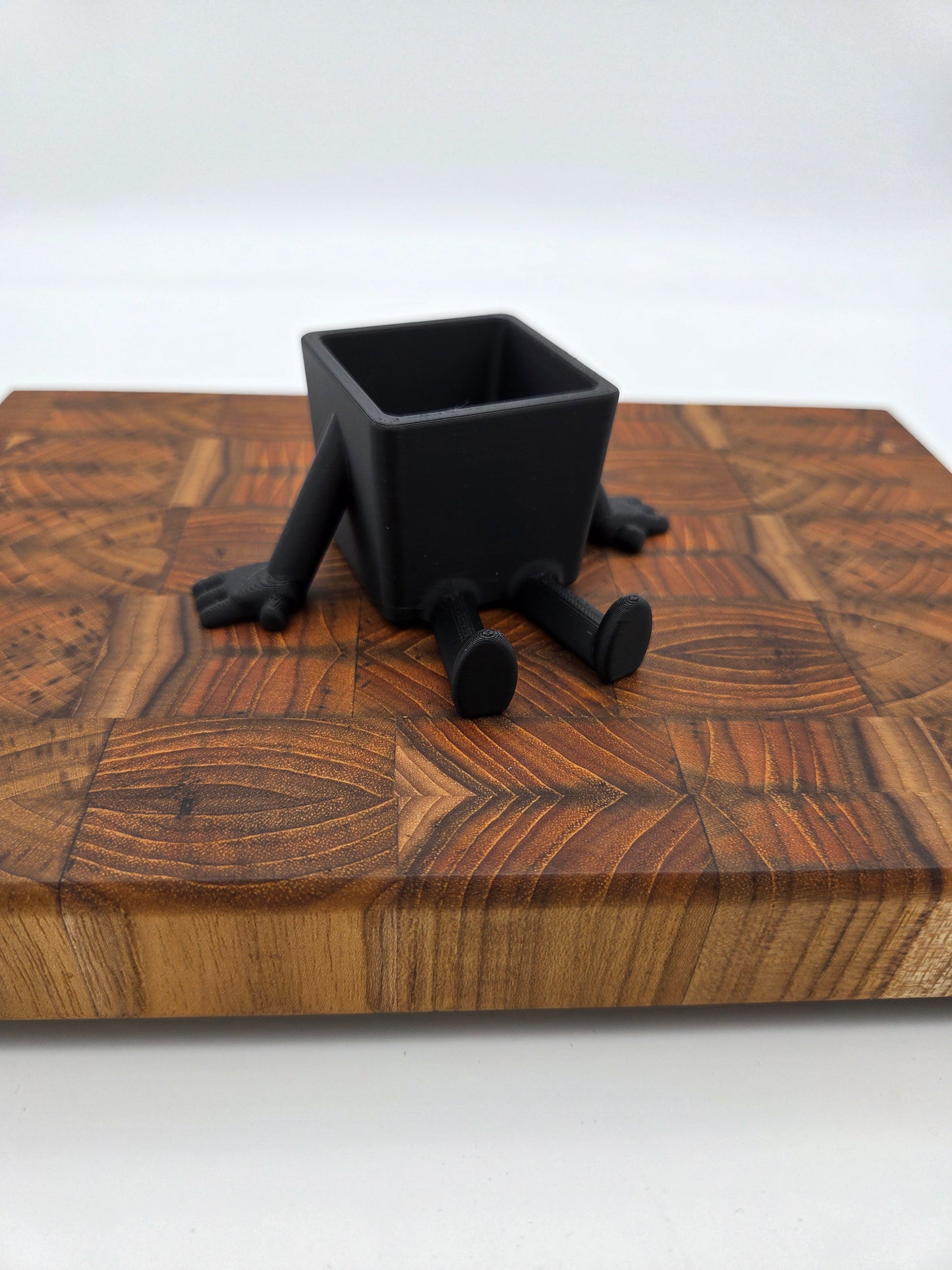 Small sitting succulent planter