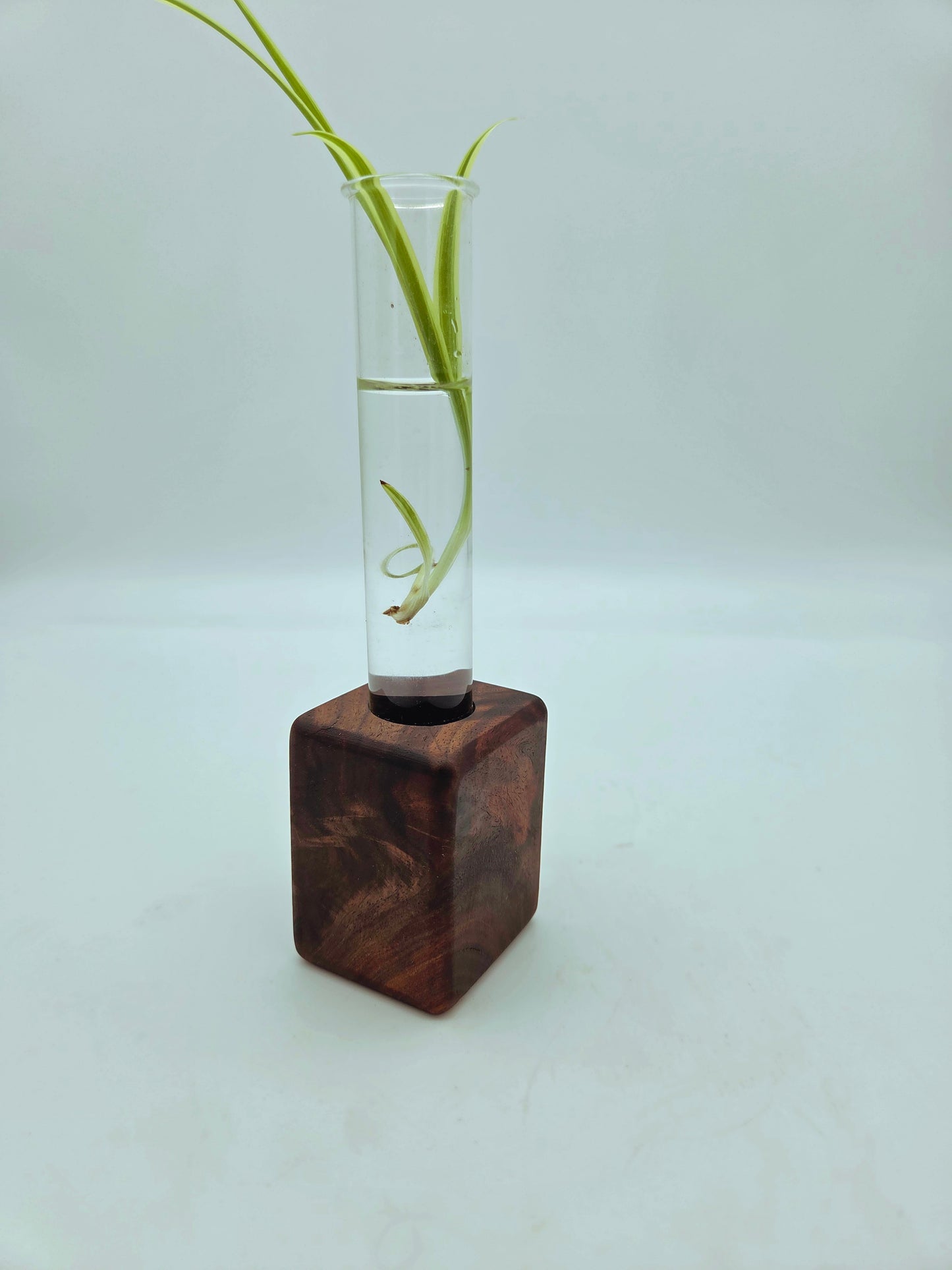 Black Walnut Bud Vase Block