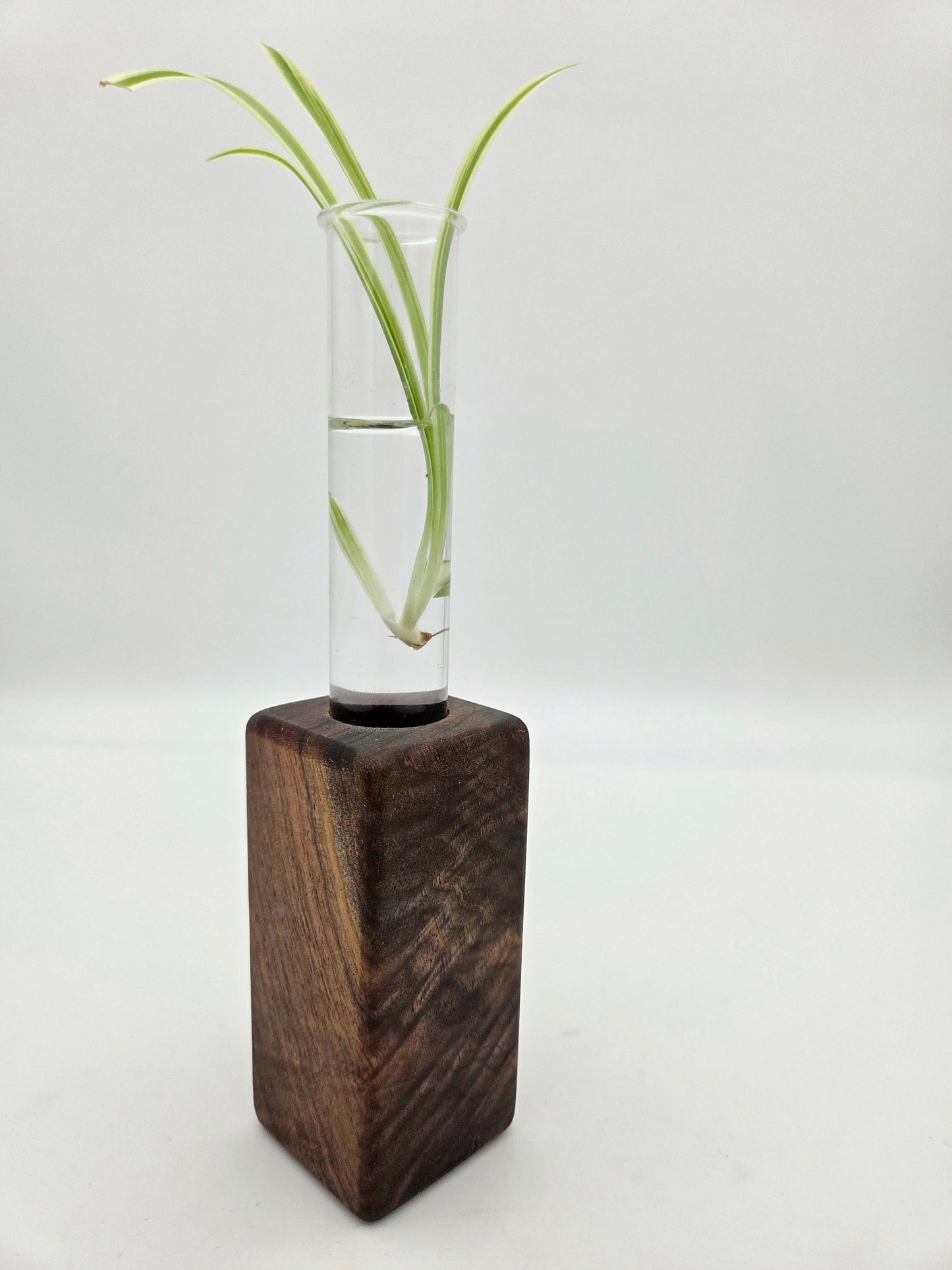 Black Walnut Bud Base Block